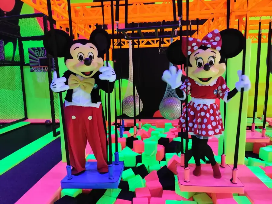 Mickey e Minnie em festa